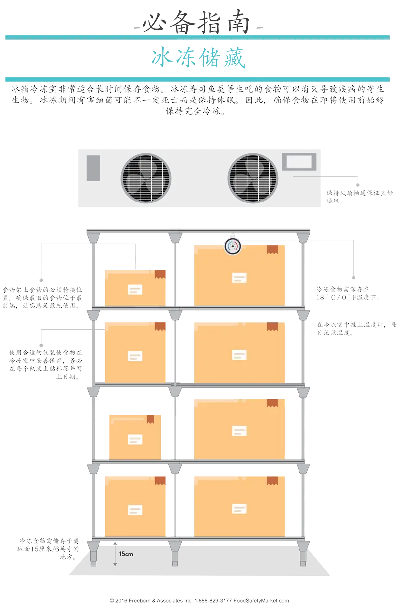 Frozen Storage Infographic Poster