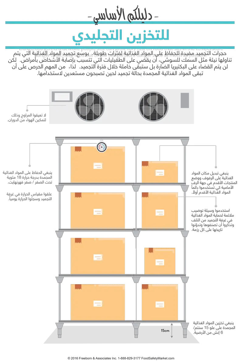Frozen Storage Infographic Poster