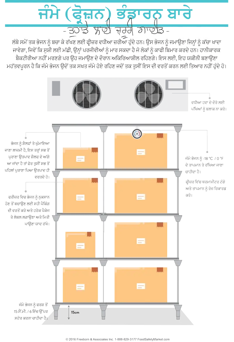 Frozen Storage Infographic Poster
