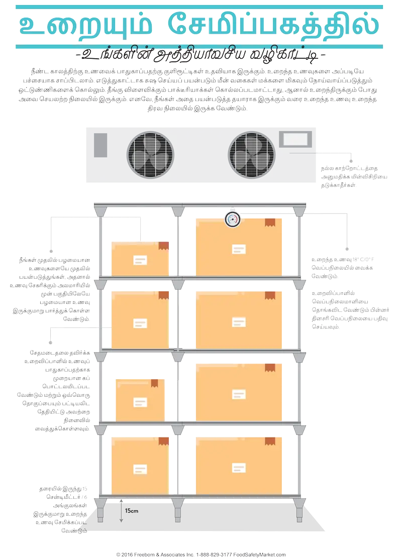 Frozen Storage Infographic Poster