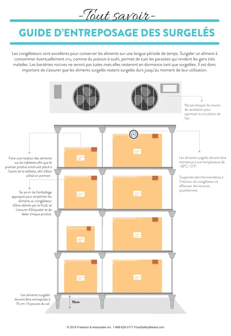 Frozen Storage Infographic Poster