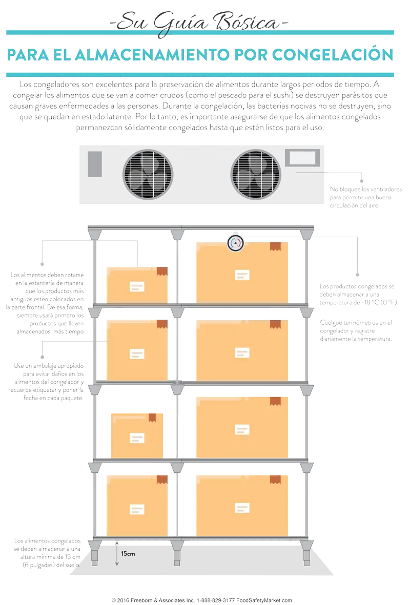 Frozen Storage Infographic Poster