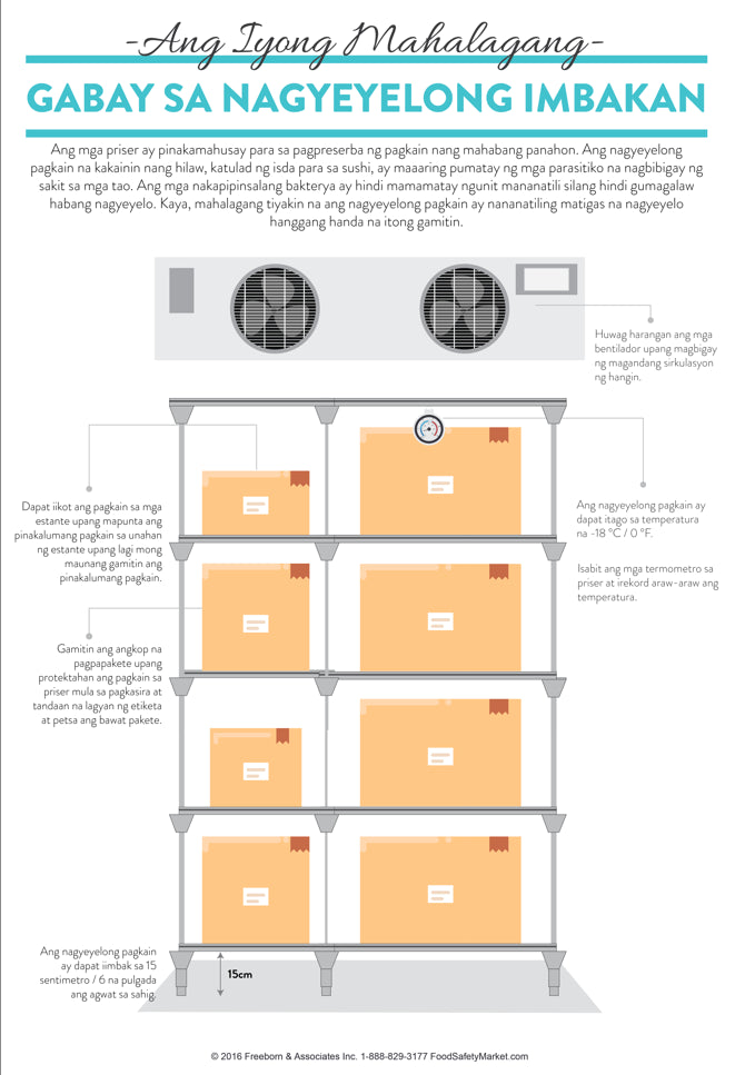 Frozen Storage Infographic Poster