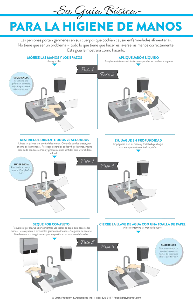 Hand Washing Infographic Poster